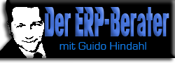 ERP-Berater Guido Hindahl