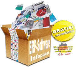 ERP Infopaket Beispiel