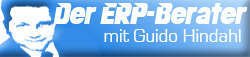 ERP-Berater