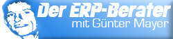 ERP-Berater